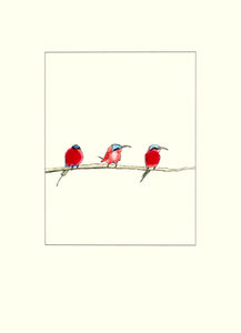 Papersheep - Crimson Bee-eaters (birds)