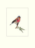 Papersheep - Pinson (oiseau)