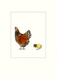 Papersheep - Poulet et poussin