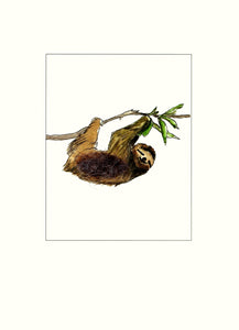 Papersheep - sloth
