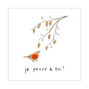 Touffes de laine - Rouge-gorge
