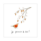 Touffes de laine - Rouge-gorge