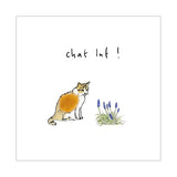 Touffes de laine - Chat