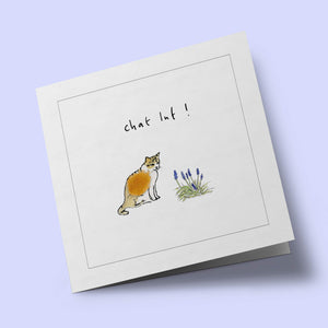 Touffes de laine - Chat