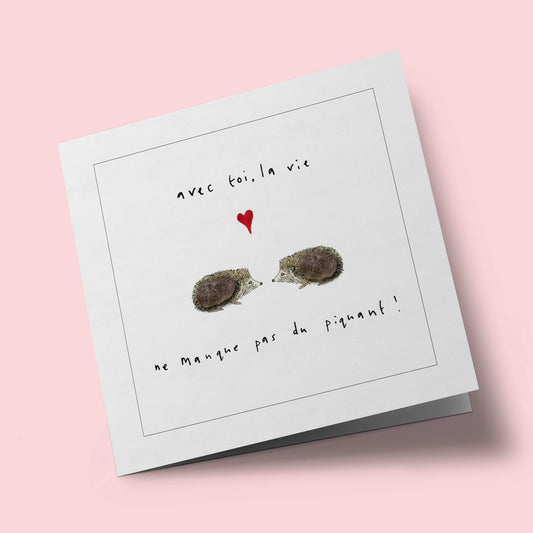 Touffes de laine - Hérisson