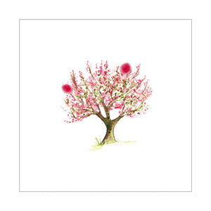 Touffes de laine - Fleur de pommier