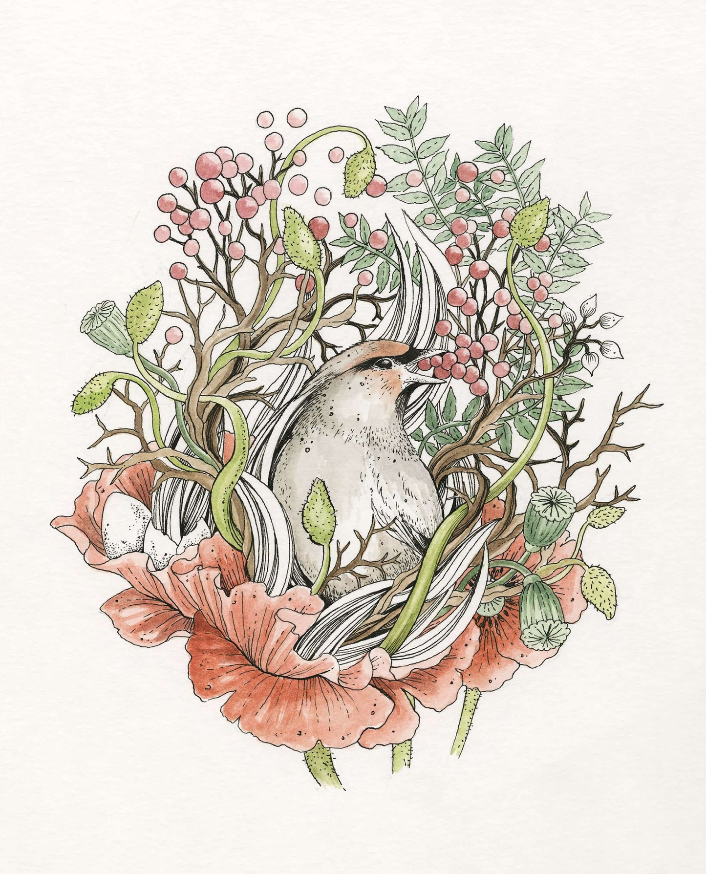 Le Bestiaire - Oiseau