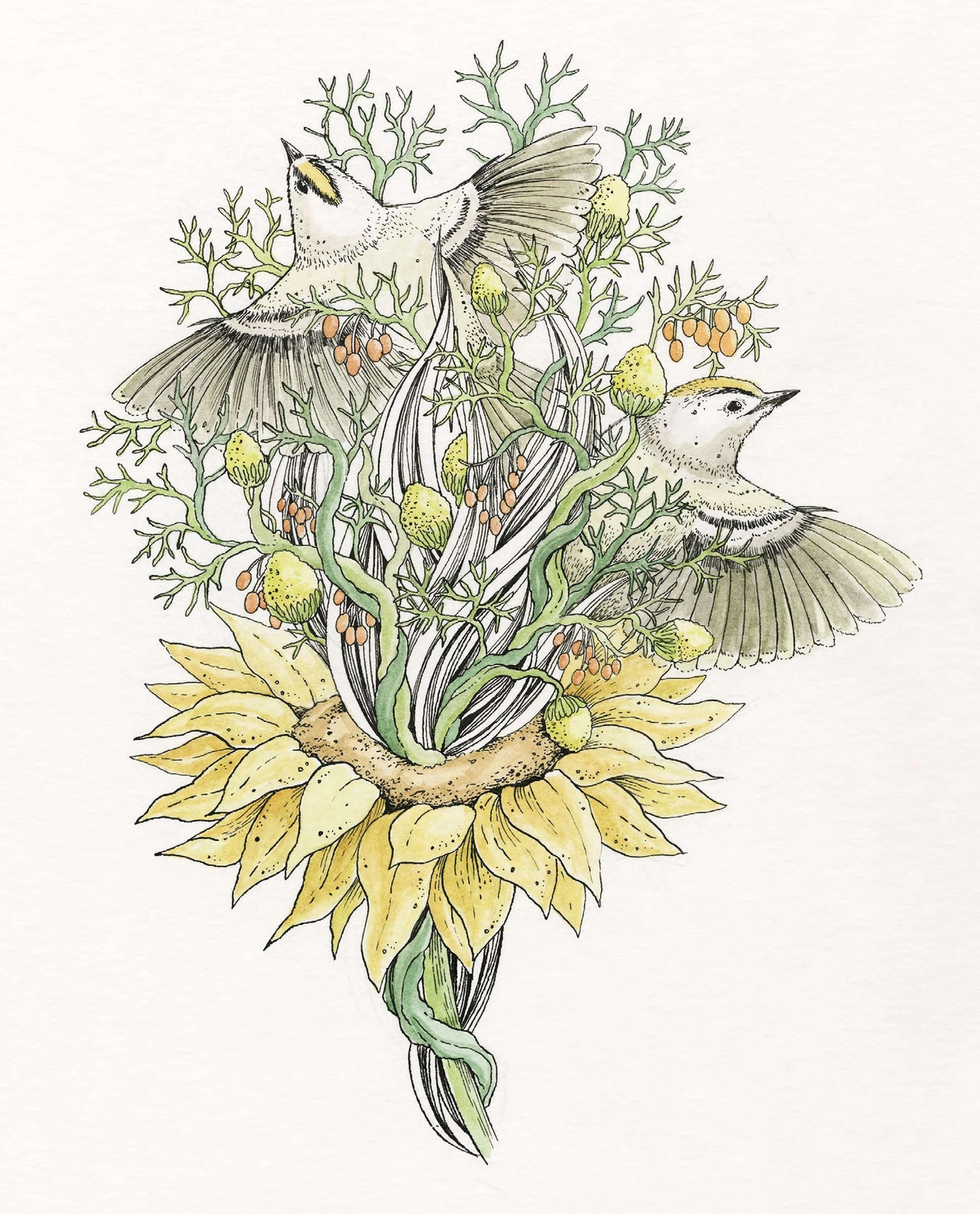 Le Bestiaire - Oiseaux