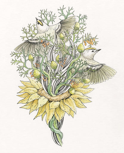 Le Bestiaire - Oiseaux