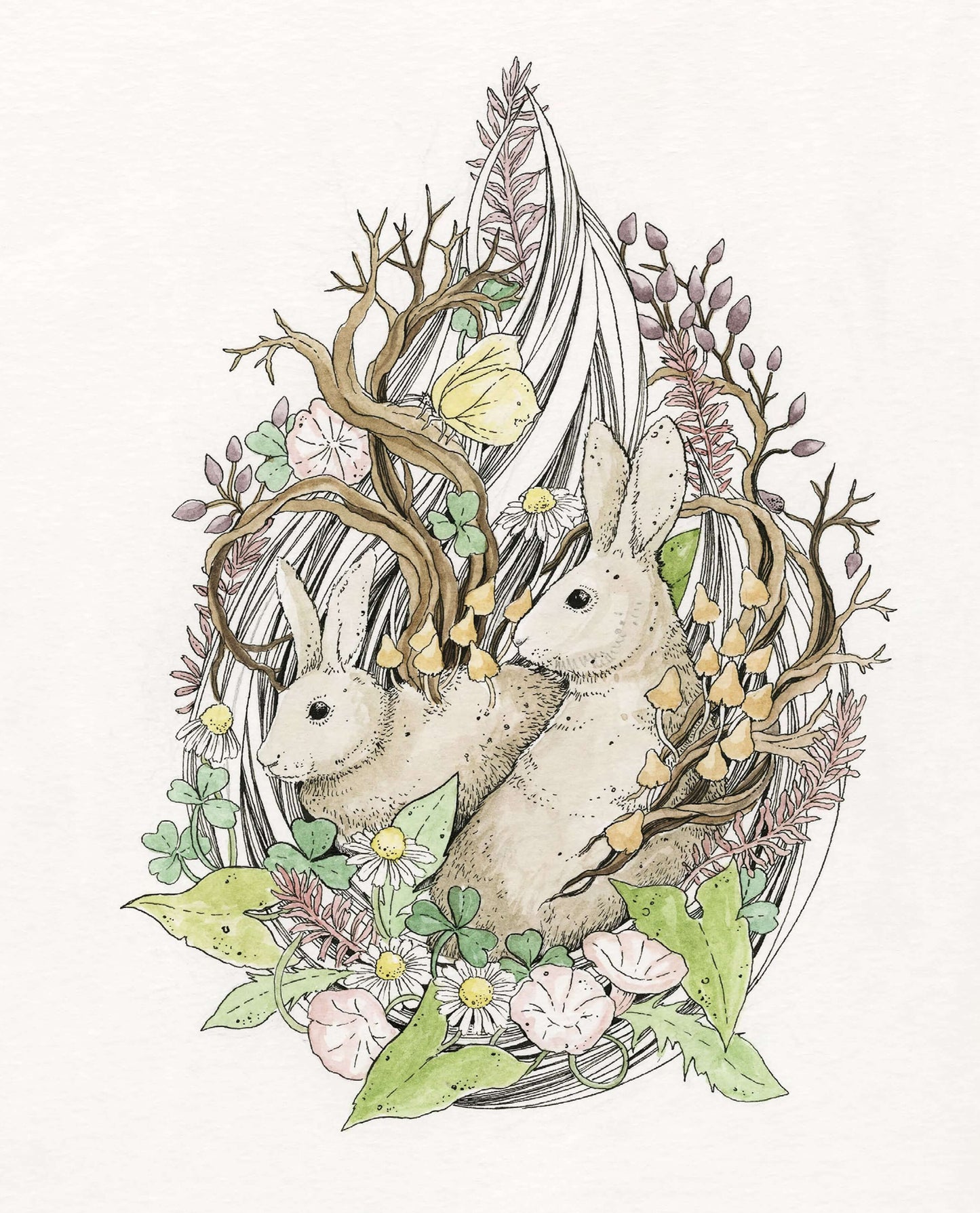 Le Bestiaire - Lapins