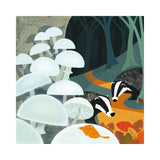 La Vie Sauvage - Blaireaux et Collybia mucida