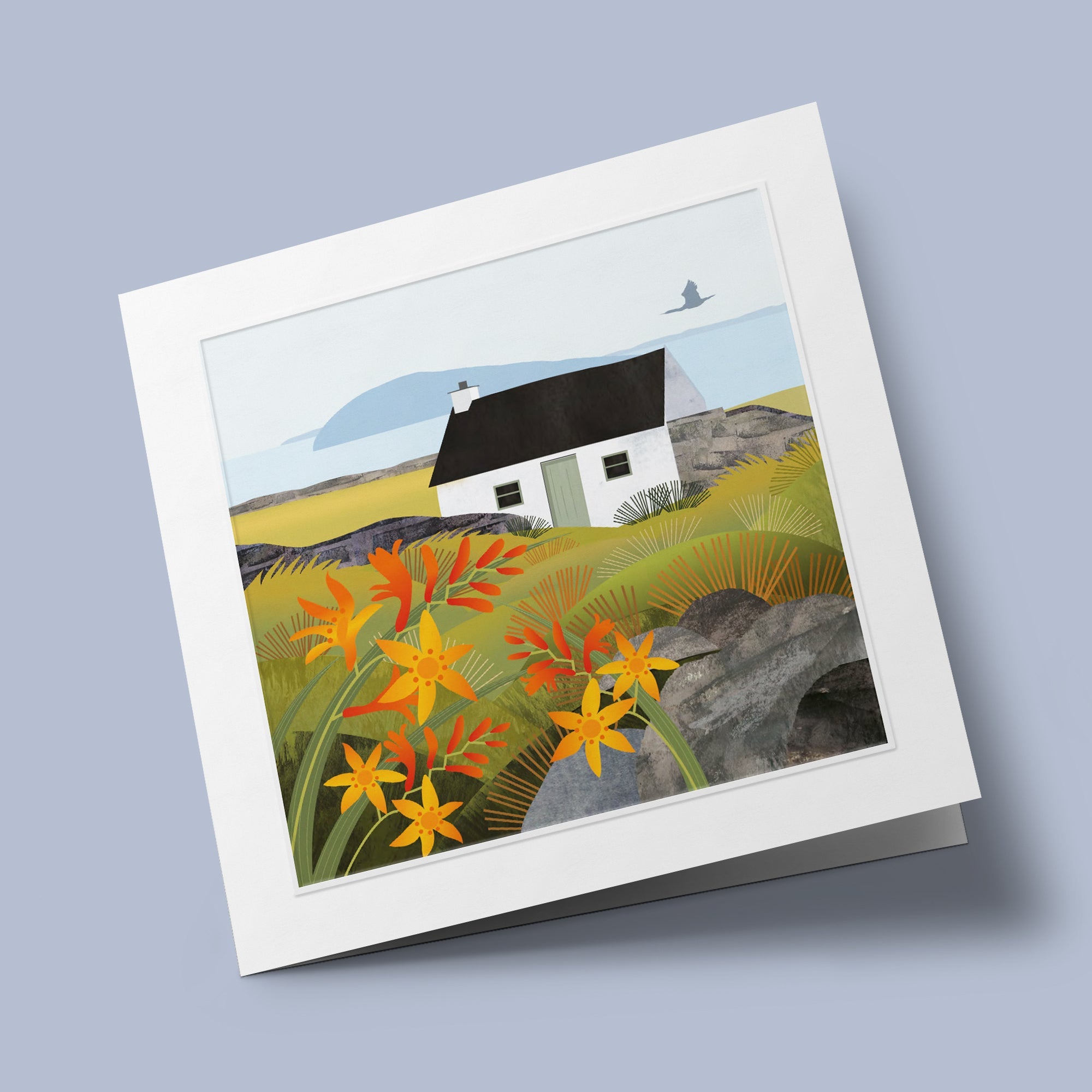 La Vie Sauvage - Crocosmia, cormoran et cottage