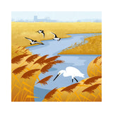 La Vie Sauvage - Petite aigrette et Huitriers