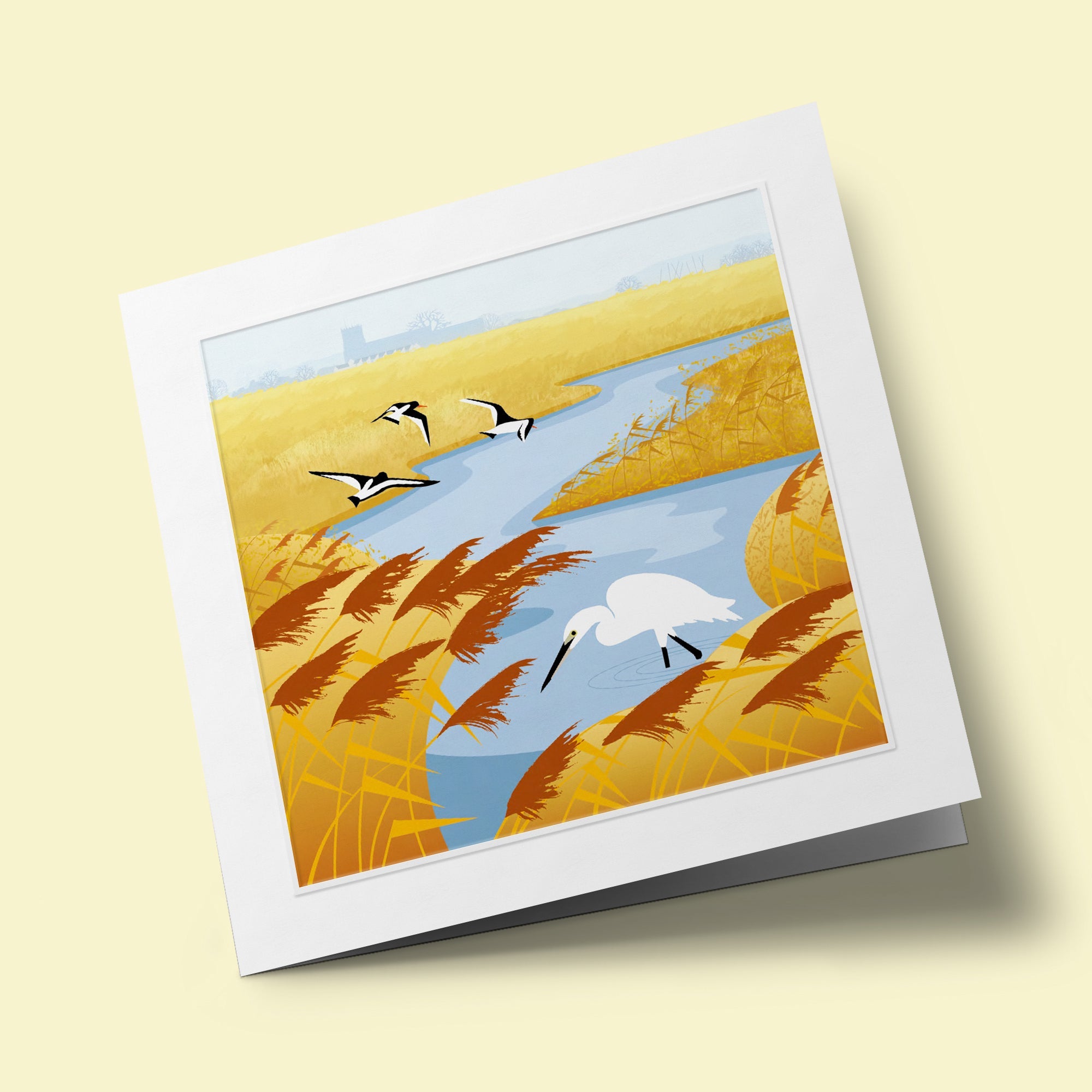 La Vie Sauvage - Petite aigrette et Huitriers