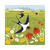 La Vie Sauvage - Le retour des hirondelles