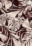 Petit Carnet - Jungles