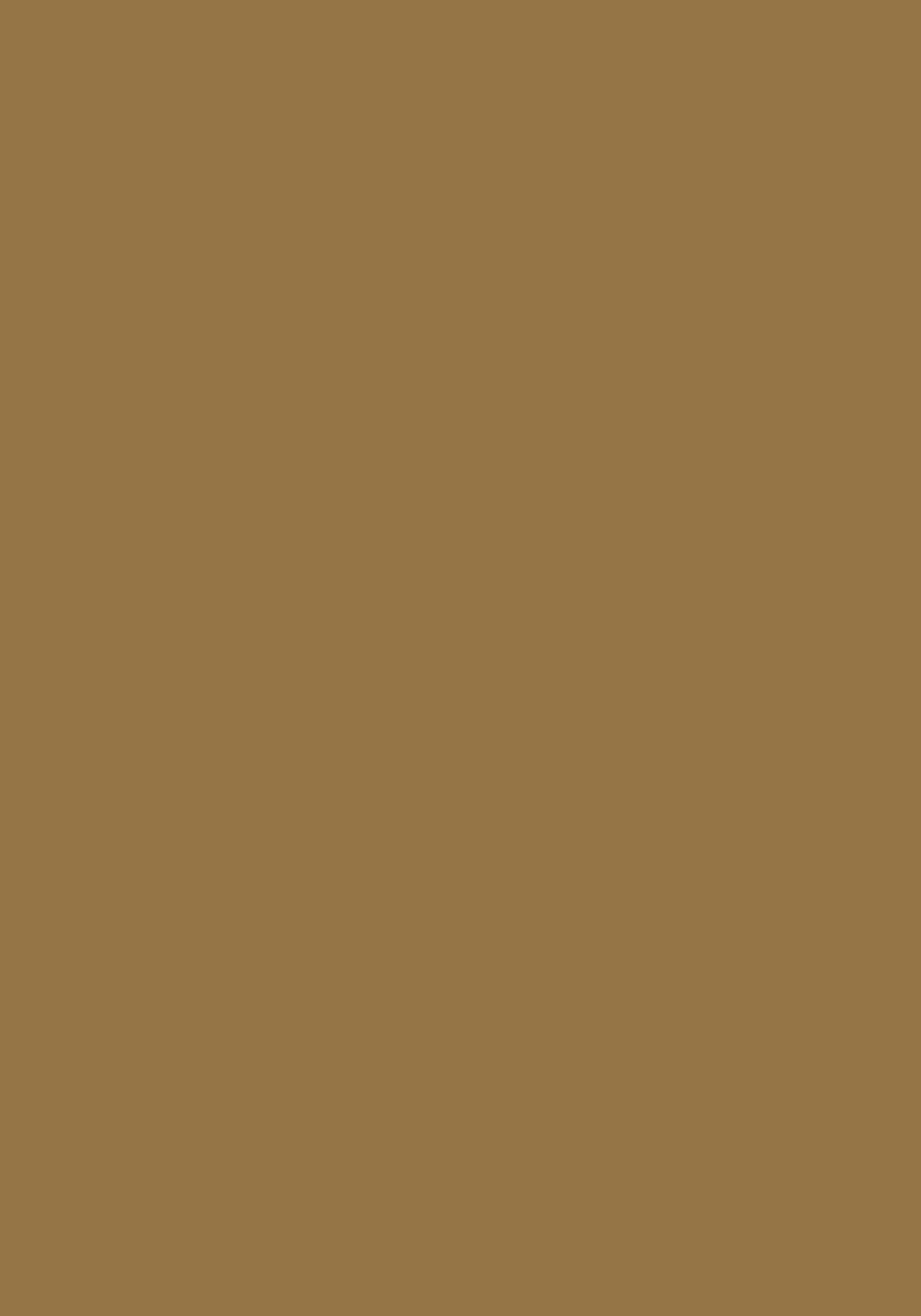 Small Notebook - Ochre Earth