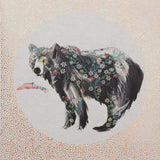 Animal Kingdom - Ours brun