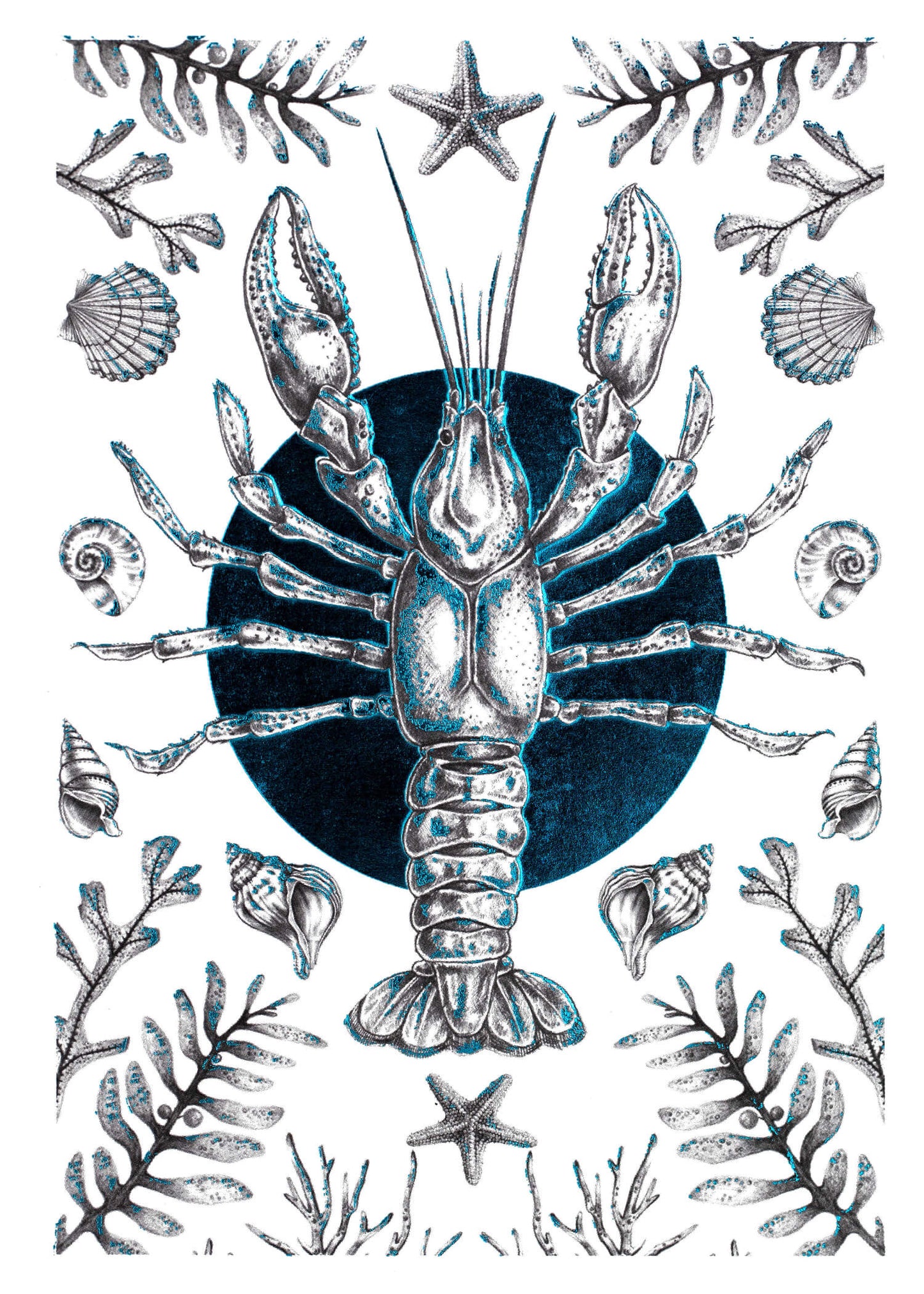 Flora Botanica - Homard