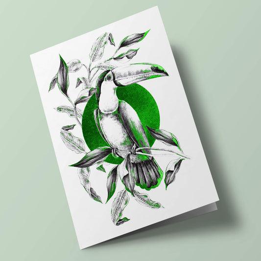 Flora Botanica - Toucan