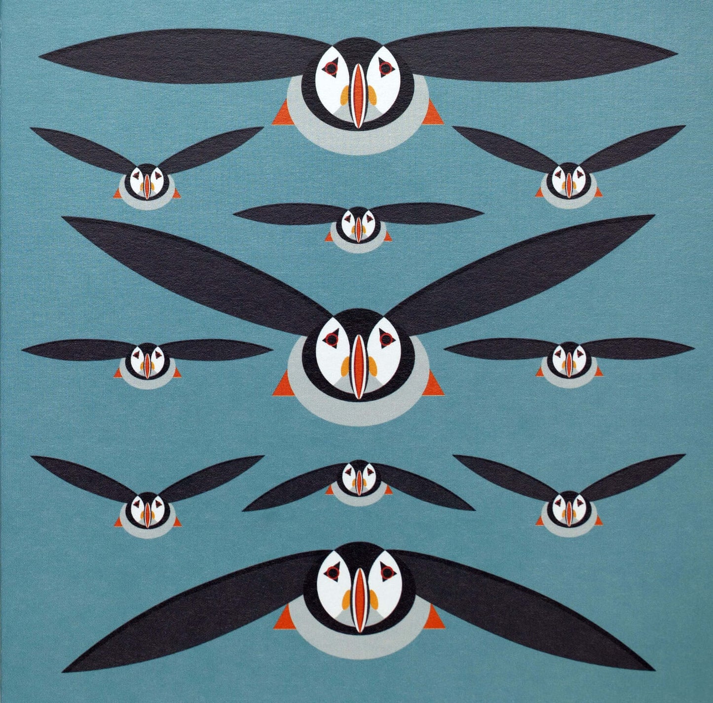 I like birds - Macareux