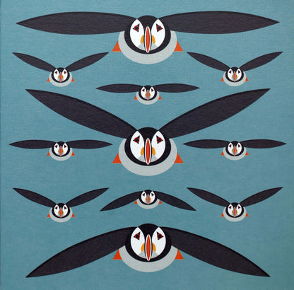 I like birds - Macareux
