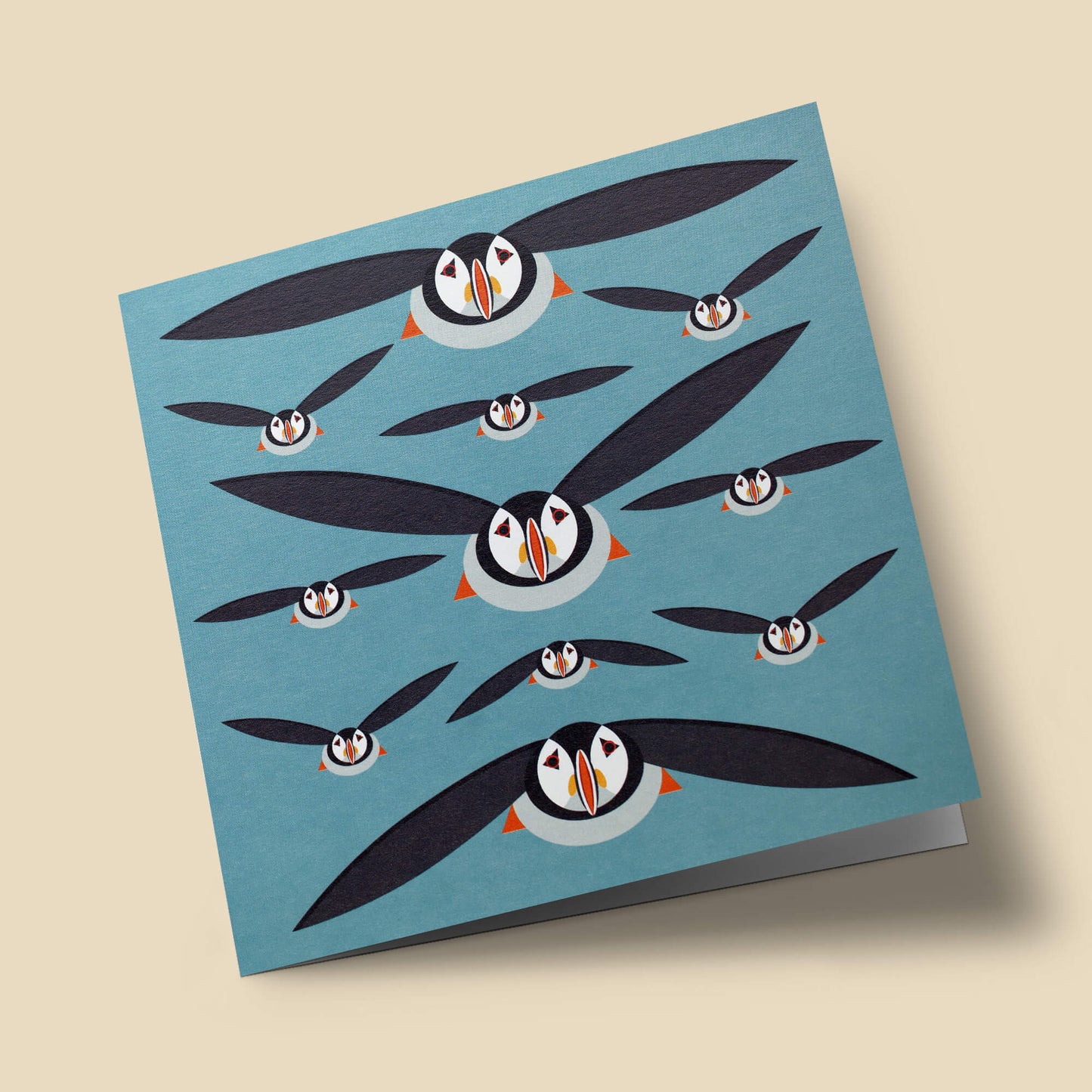 I like birds - Macareux
