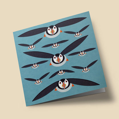 I like birds - Macareux