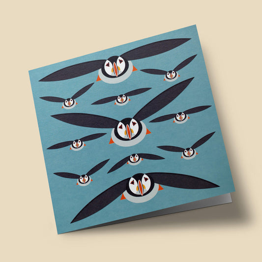 I like birds - Macareux