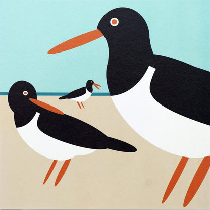 I like birds - Oiseaux huîtriers à la plage