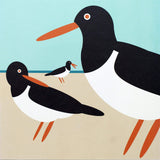 I like birds - Oiseaux huîtriers à la plage