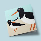 I like birds - Oiseaux huîtriers à la plage