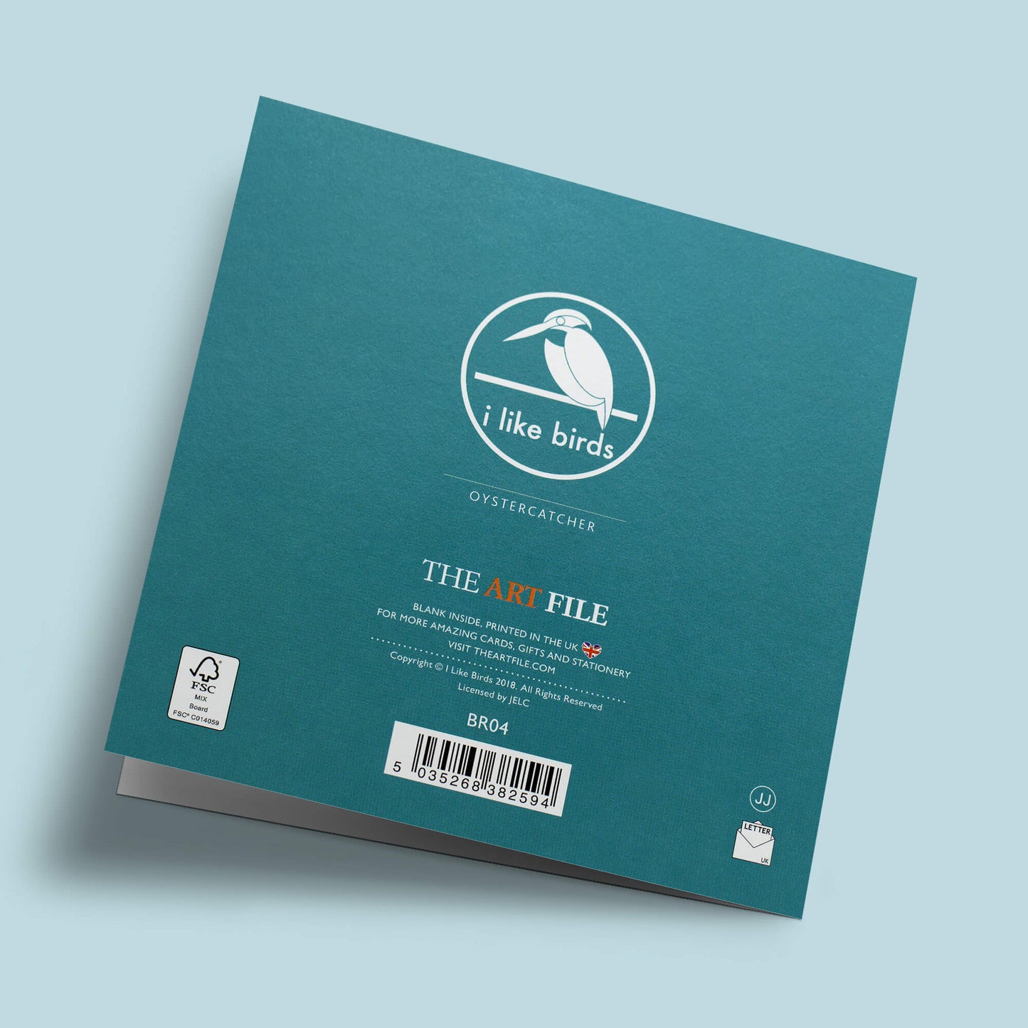 I like birds - Oiseaux huîtriers à la plage