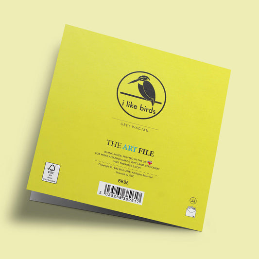 I like birds - Oiseaux bergeronnette