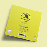 I like birds - Oiseaux bergeronnette