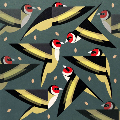 I like birds - Oiseaux chardonneret