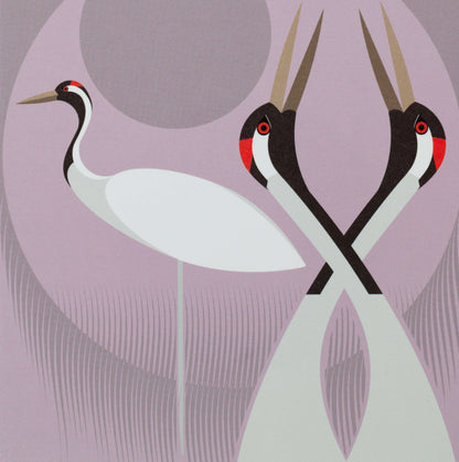 I like birds - Oiseaux grues