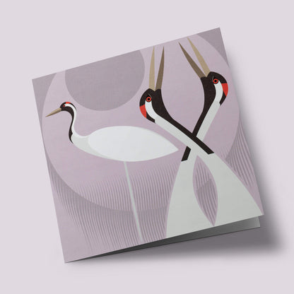 I like birds - Oiseaux grues