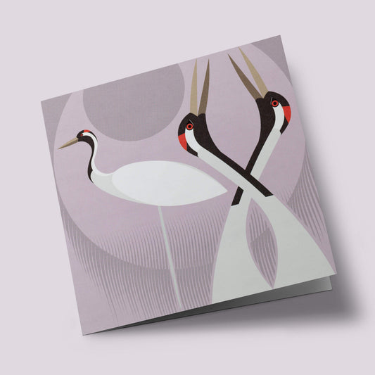 I like birds - Oiseaux grues