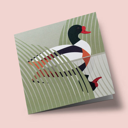I like birds - Oiseau tadorne