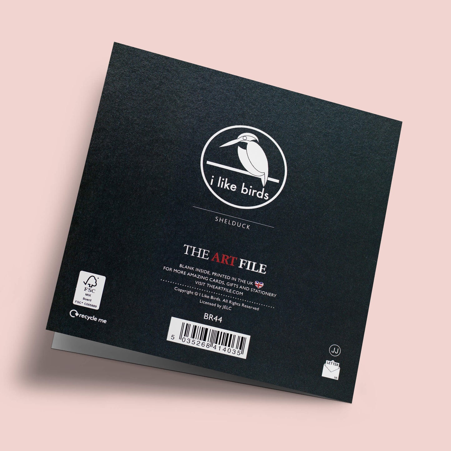 I like birds - Oiseau tadorne