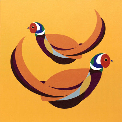 I like birds - Oiseaux faisans