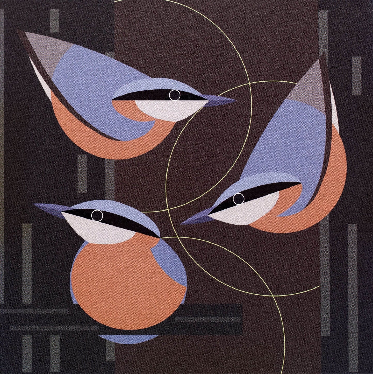 I like birds - Oiseaux sittelles