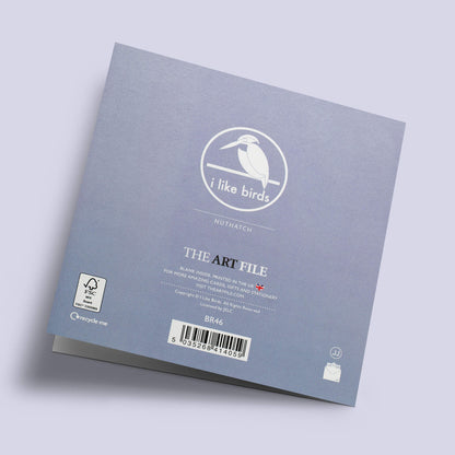 I like birds - Oiseaux sittelles