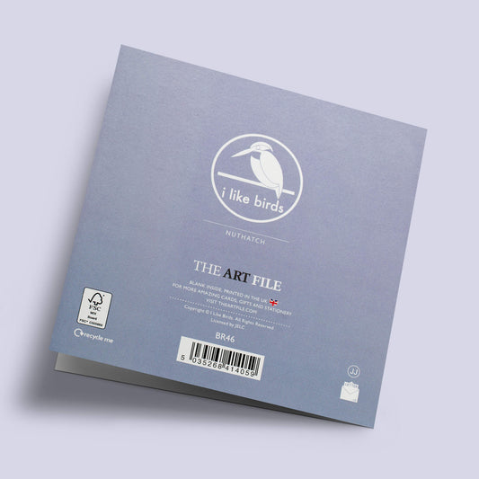 I like birds - Oiseaux sittelles