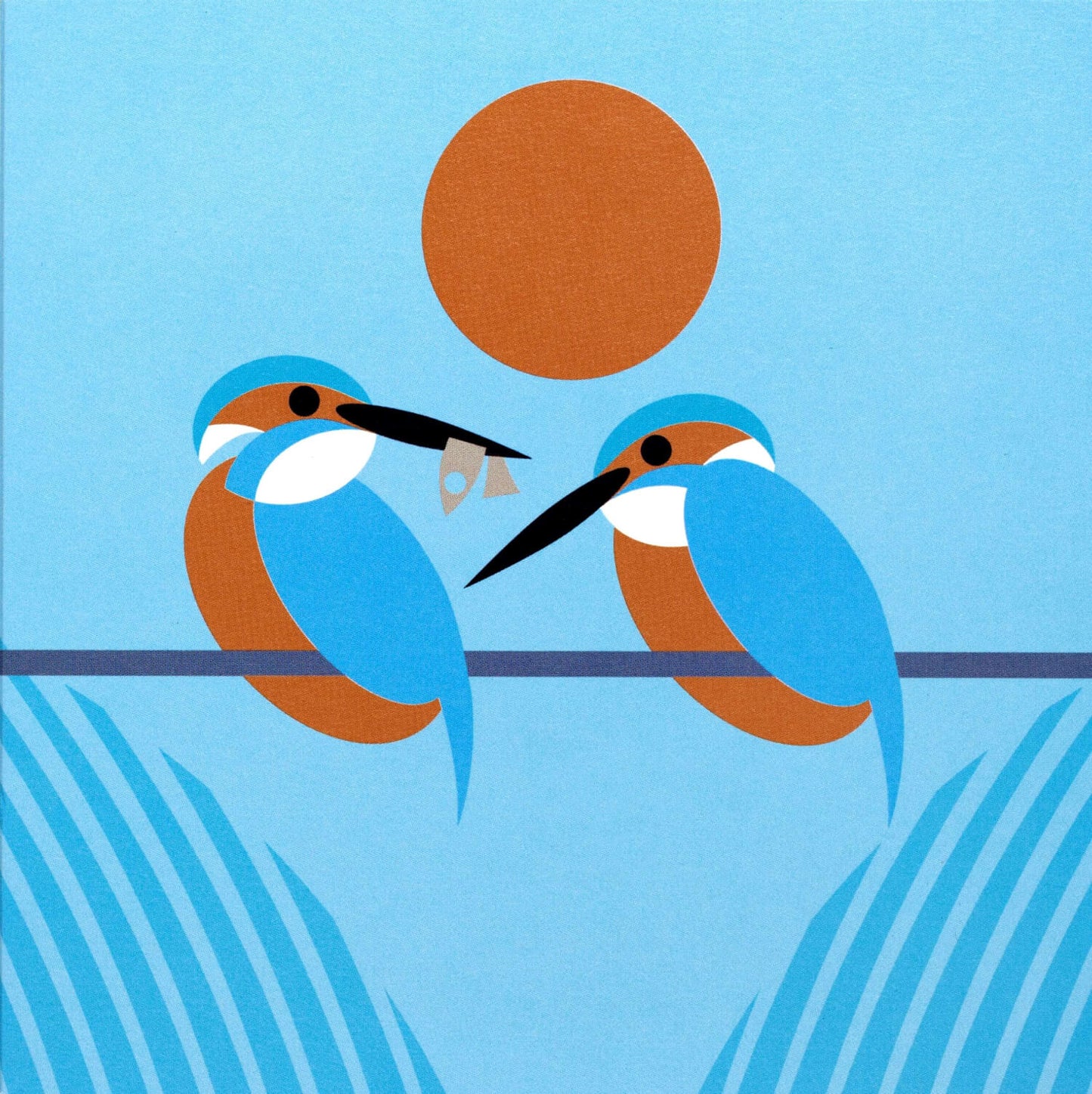 I like birds - Oiseaux martin-pêcheurs