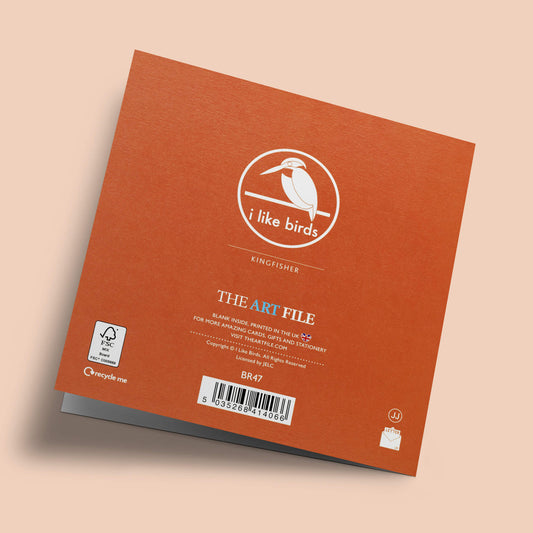 I like birds - Oiseaux martin-pêcheurs