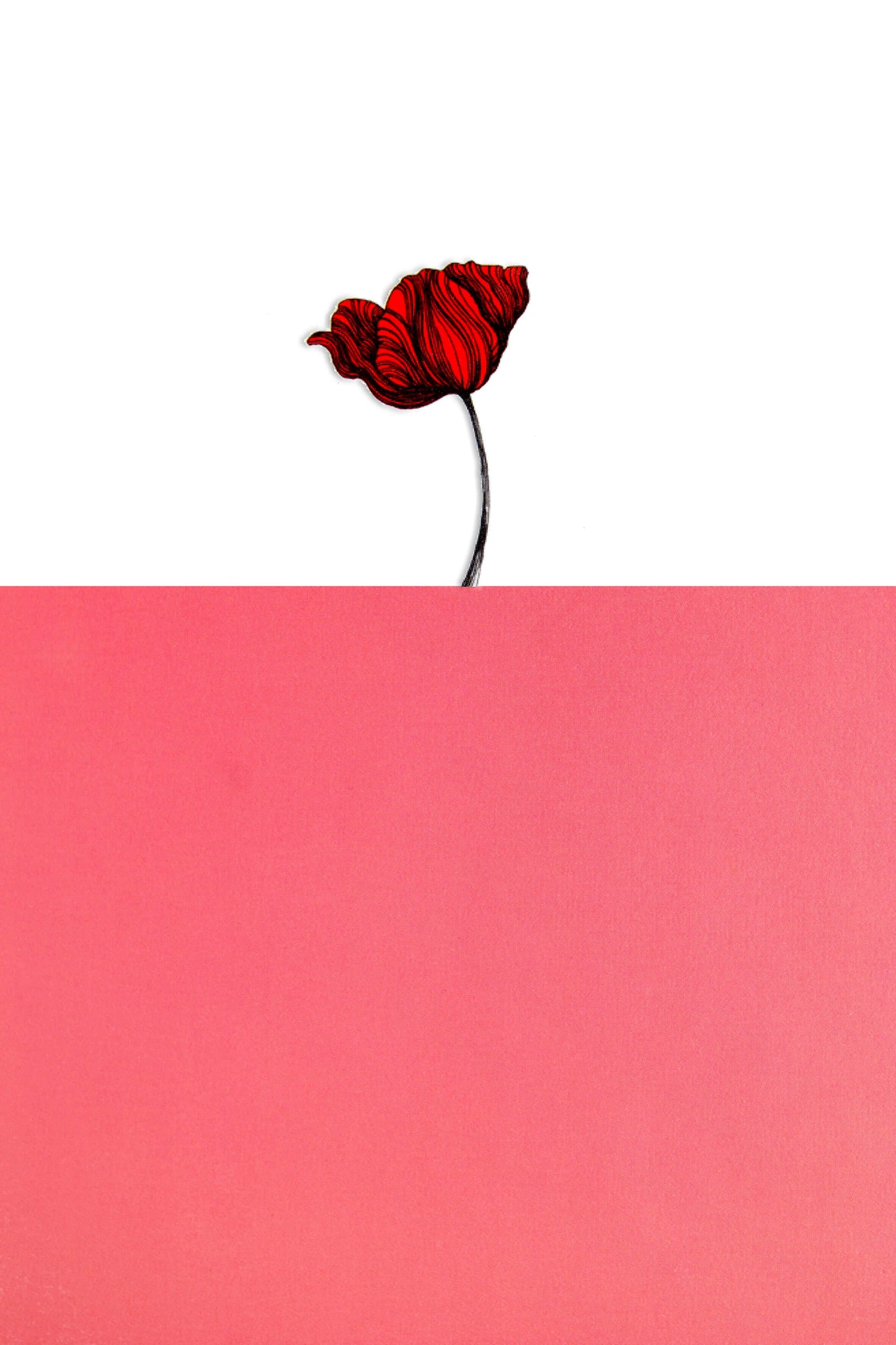 Imagine - Coquelicot