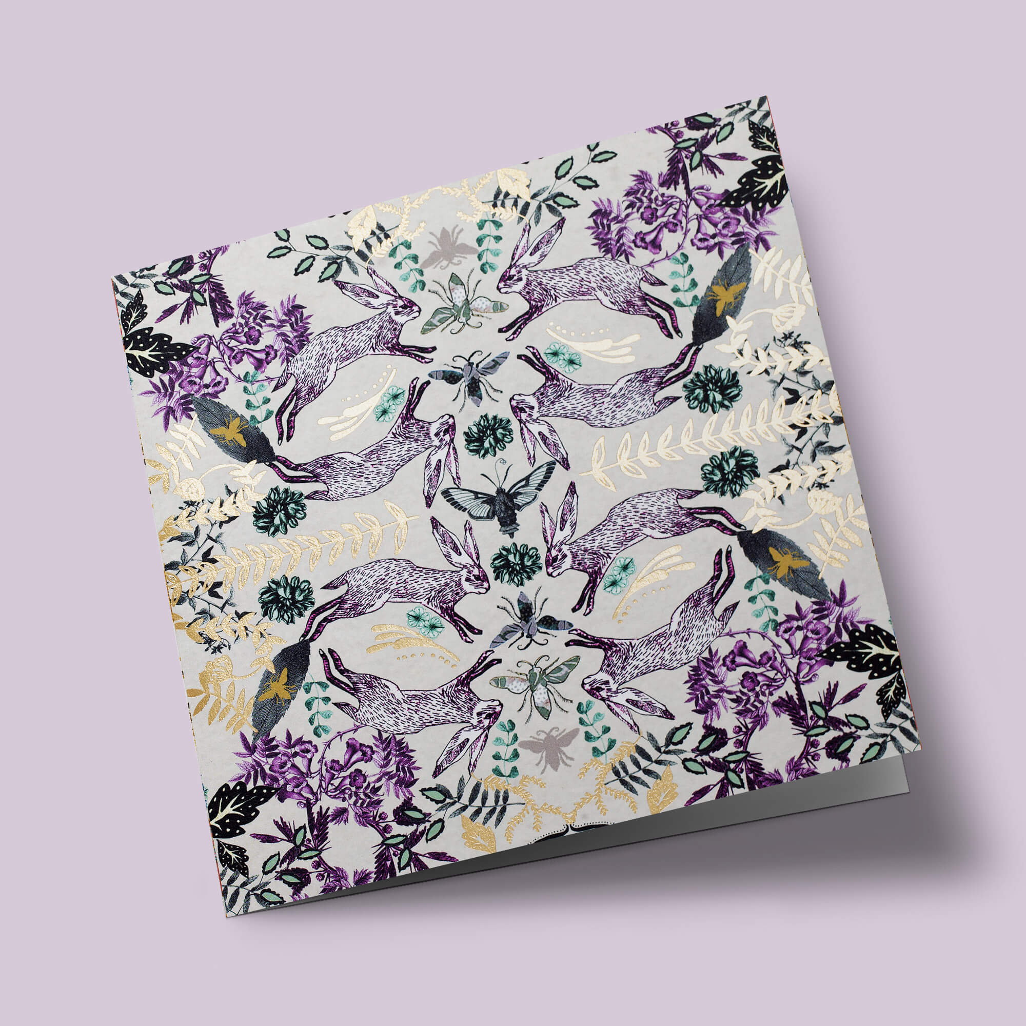 Kaleidoscope - Lièvres