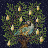 Boite de 8 cartes - Perdrix et Poires